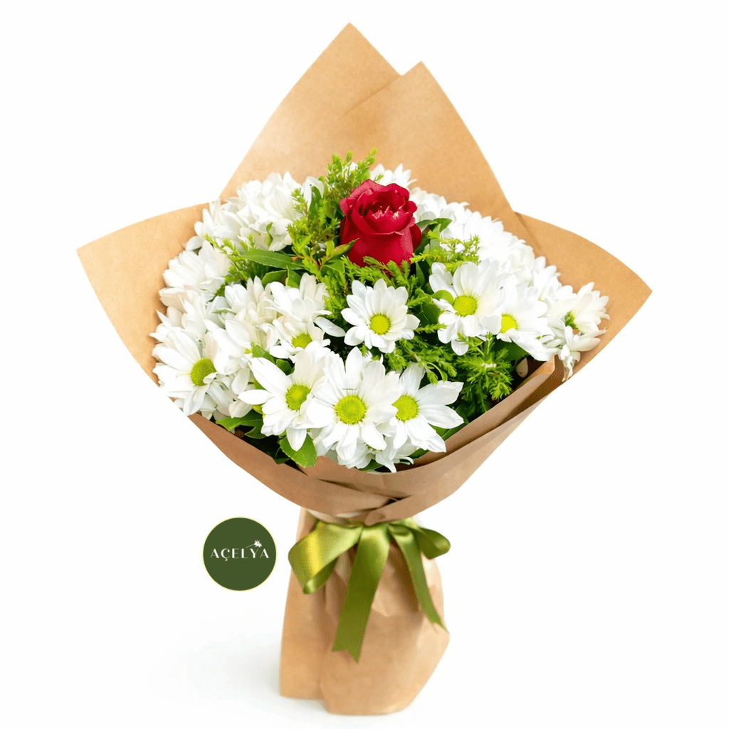 Papatya ve Tek Gül - Balıkesir Açelya Çiçekçilik