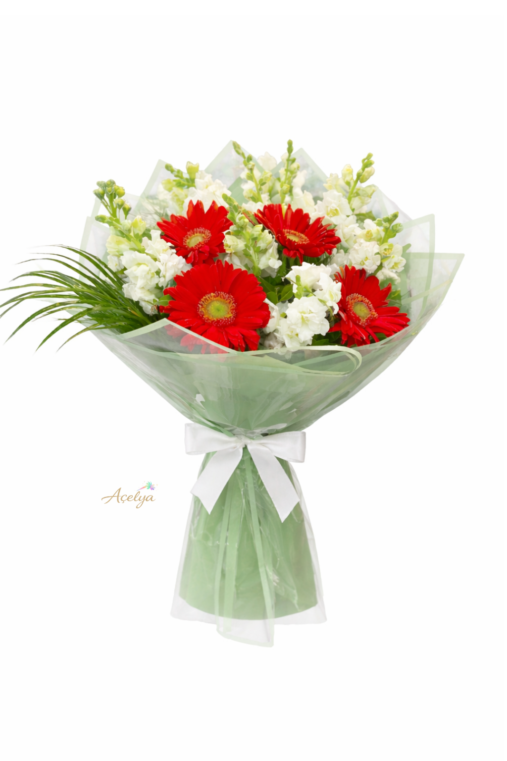 Aslanağzı ve Gerbera Buketi