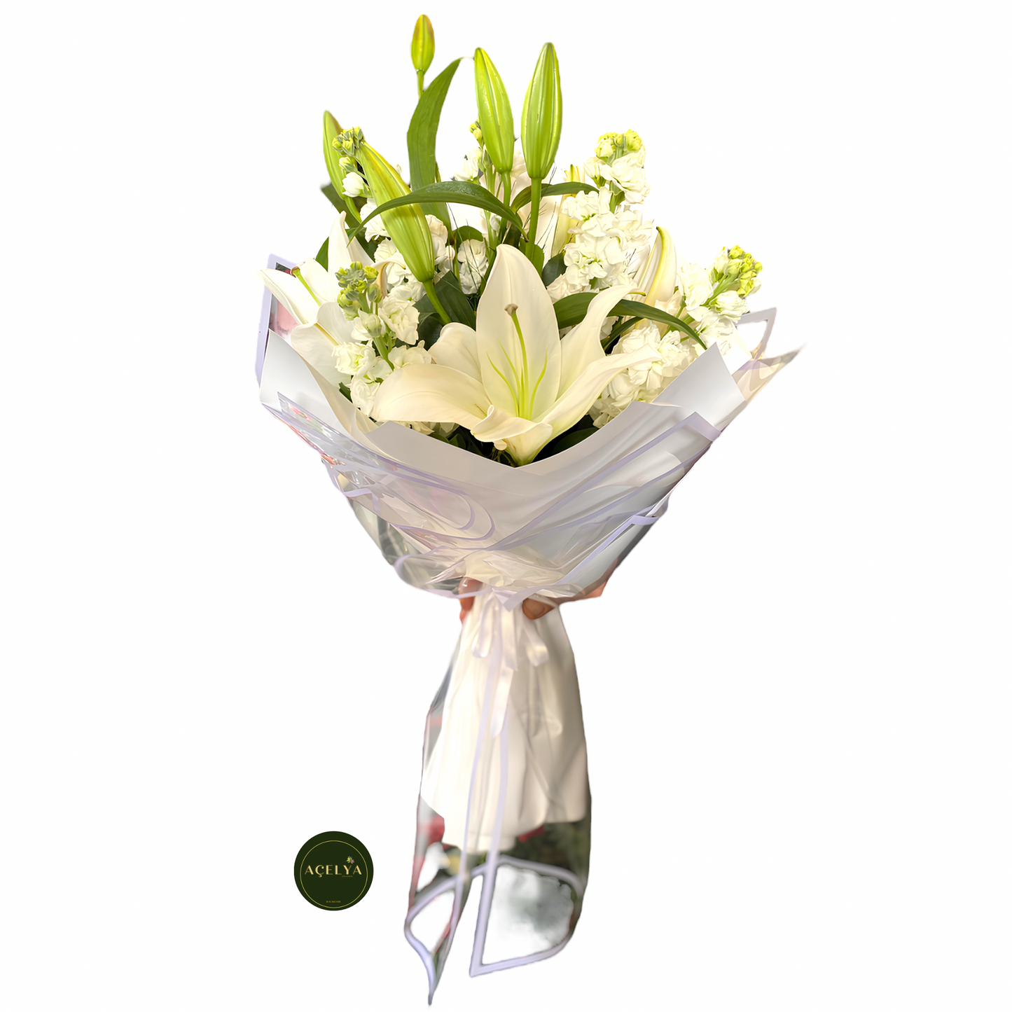 Beyaz Lilyum ve Şebboylar