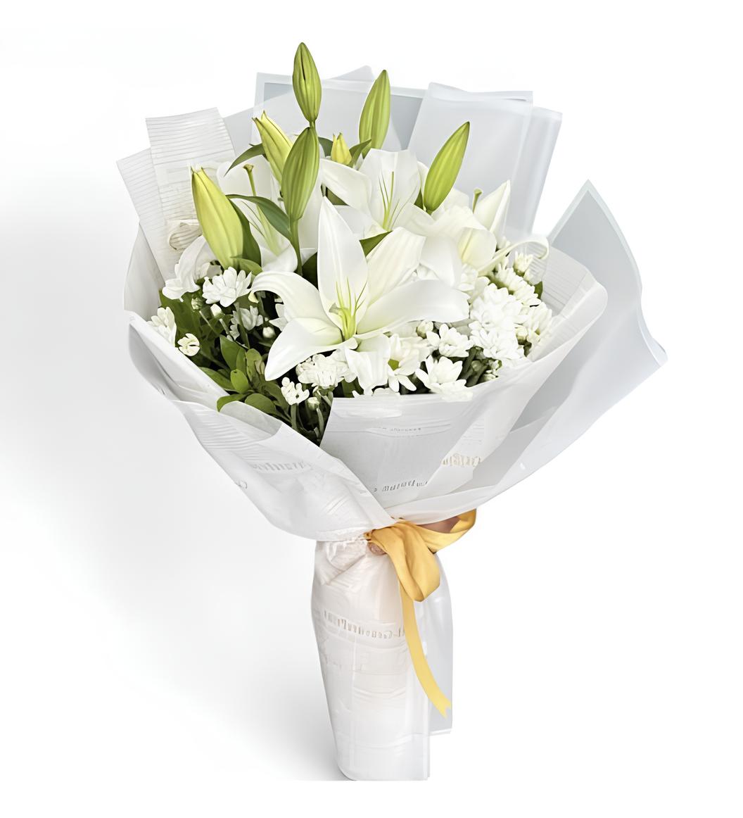 Kazablanka ve Papatya Buketi