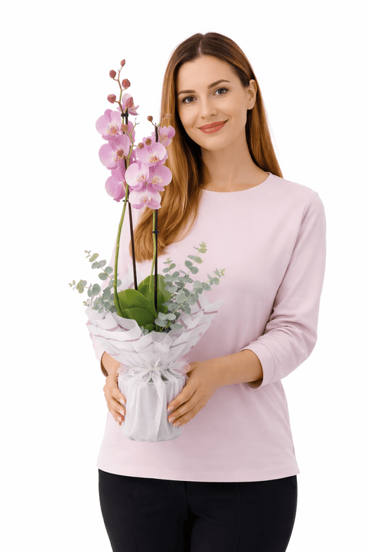 Çift Dal Pembe Orkide - Balıkesir Açelya Çiçekçilik