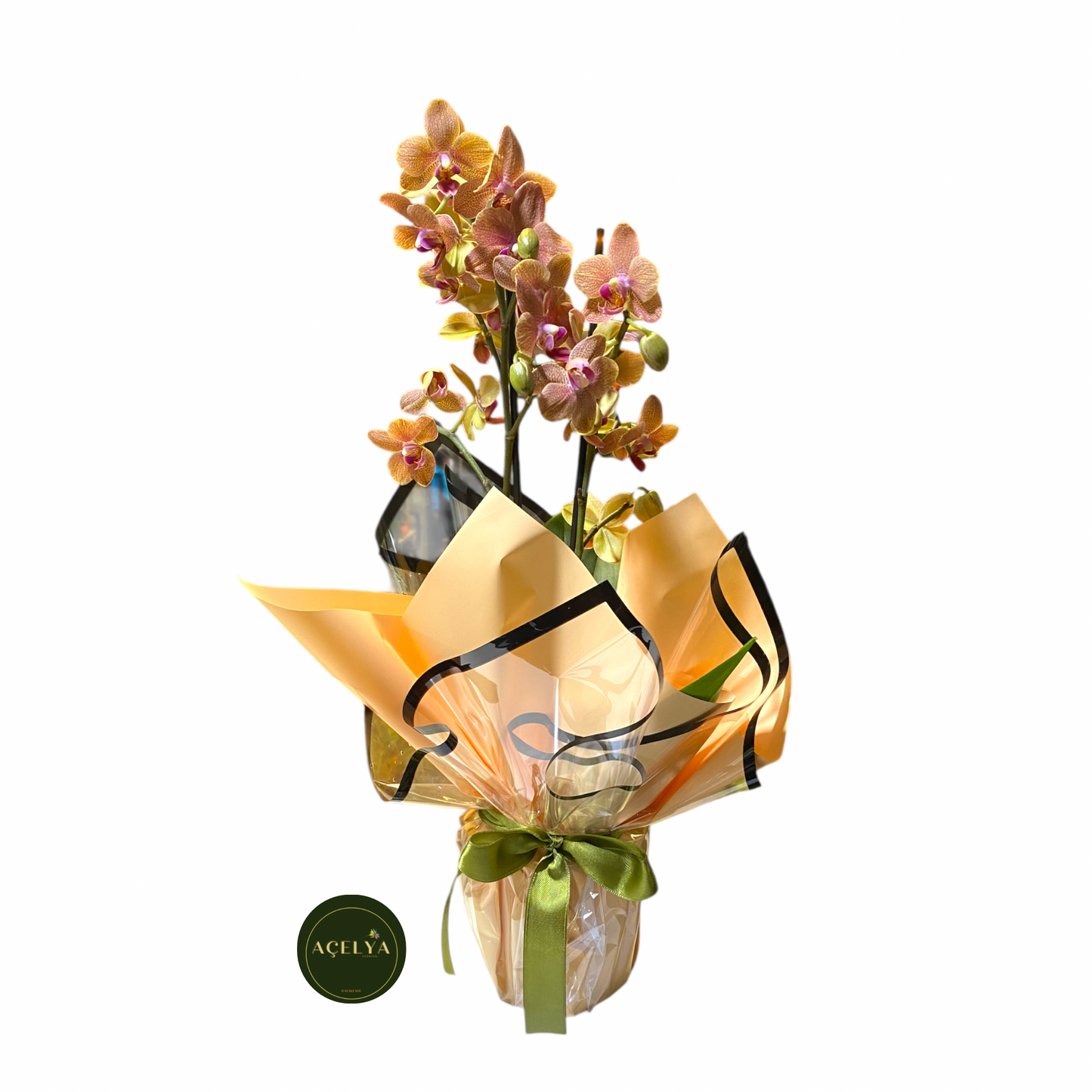 açelya çiçekçilik aynı gün teslimat