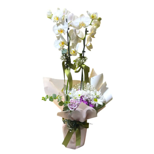 Annelere Özel Çift Dal Beyaz Orkide