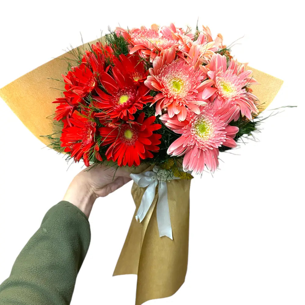 Kırmızı Pembe Gerbera