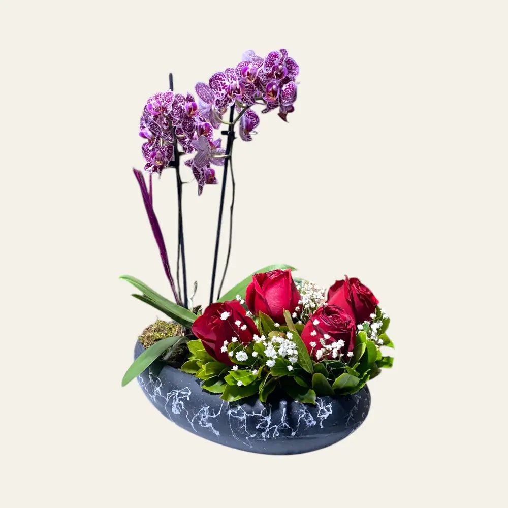 Saksıda Mini Orkide ve Güller - Balıkesir Açelya Çiçekçilik
