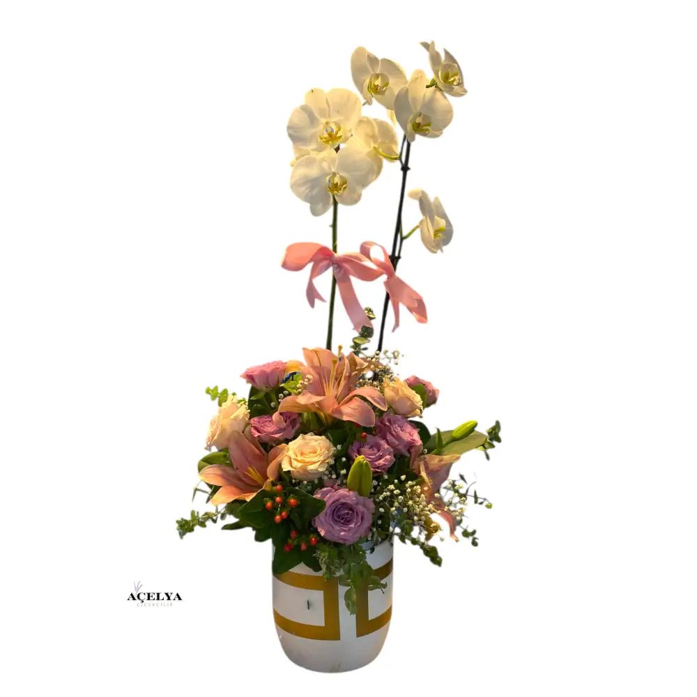 Vazoda Çift Dal Beyaz Orkide Aranjmanı - Balıkesir Açelya Çiçekçilik