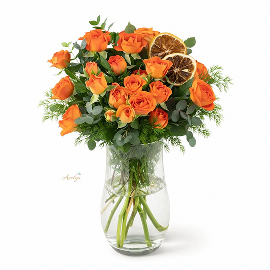 Vazoda Turuncu Çardak Gül