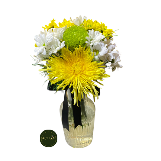 Cam Vazoda Krizantem