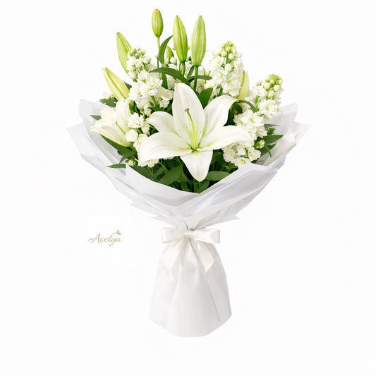 Beyaz Lilyum ve Şebboylar