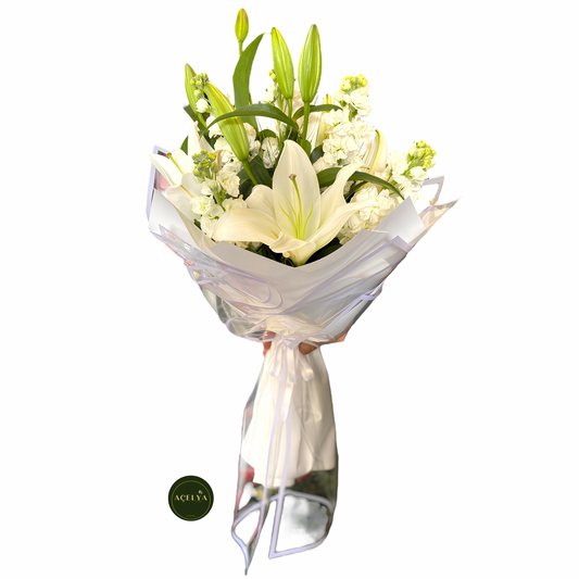 Beyaz Lilyum ve Şebboylar