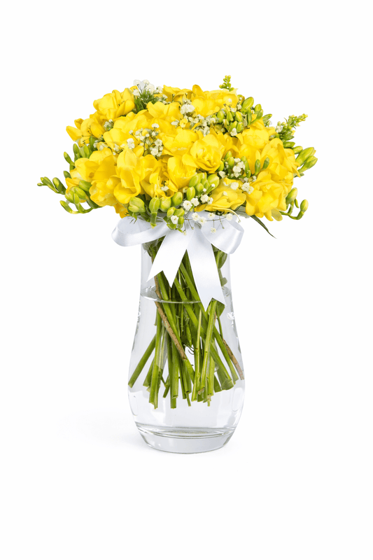 Cam Vazoda Sarı Frezya - Balıkesir Açelya Çiçekçilik