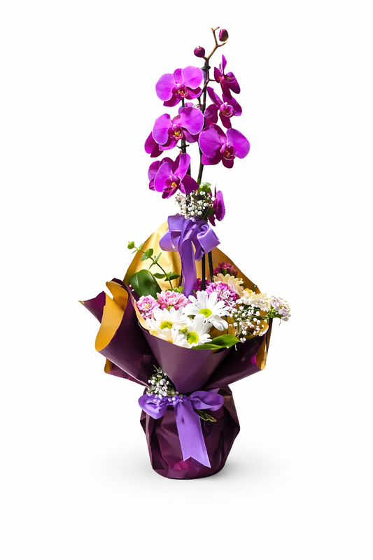 Çift Dal Mor Orkide Aranjmanı - Balıkesir Açelya Çiçekçilik