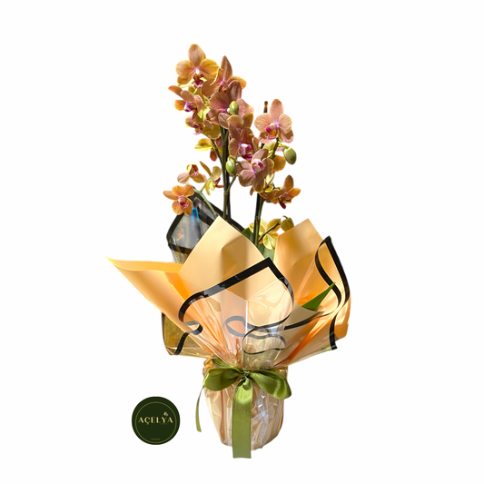 açelya çiçekçilik aynı gün teslimat