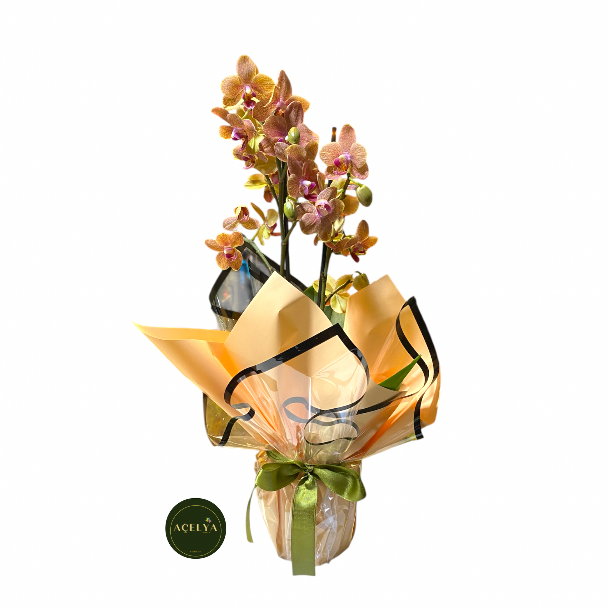 açelya çiçekçilik aynı gün teslimat 