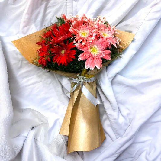 Kırmızı Pembe Gerbera