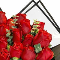 Kırmızı Gül Çeşitleri