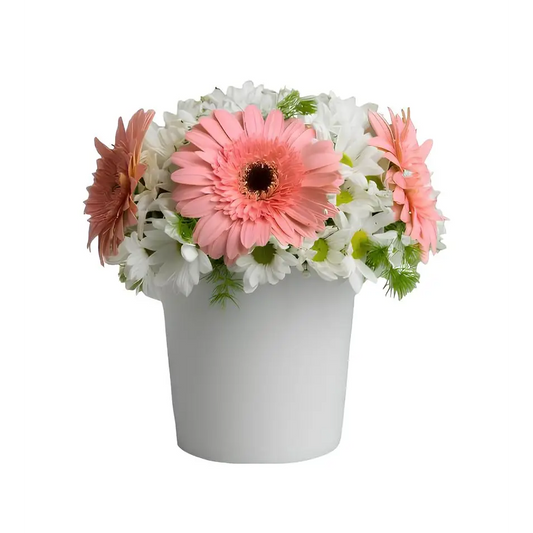 Pembe Gerbera ve Papatyalar - Çiçek