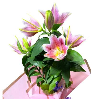 Saksıda Pembe Lilyum - Balıkesir Açelya Çiçekçilik