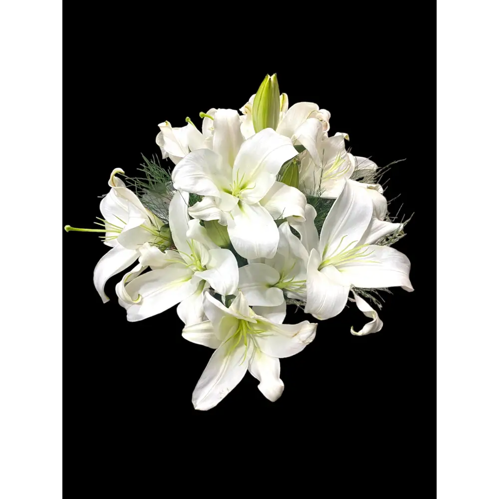 Vazoda Lilyumlar