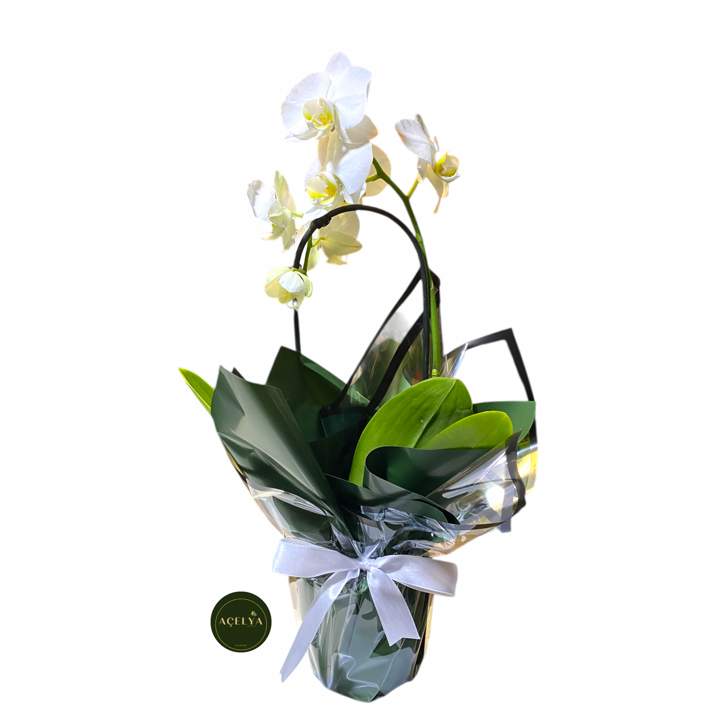 açelya çiçekçilik balıkesir